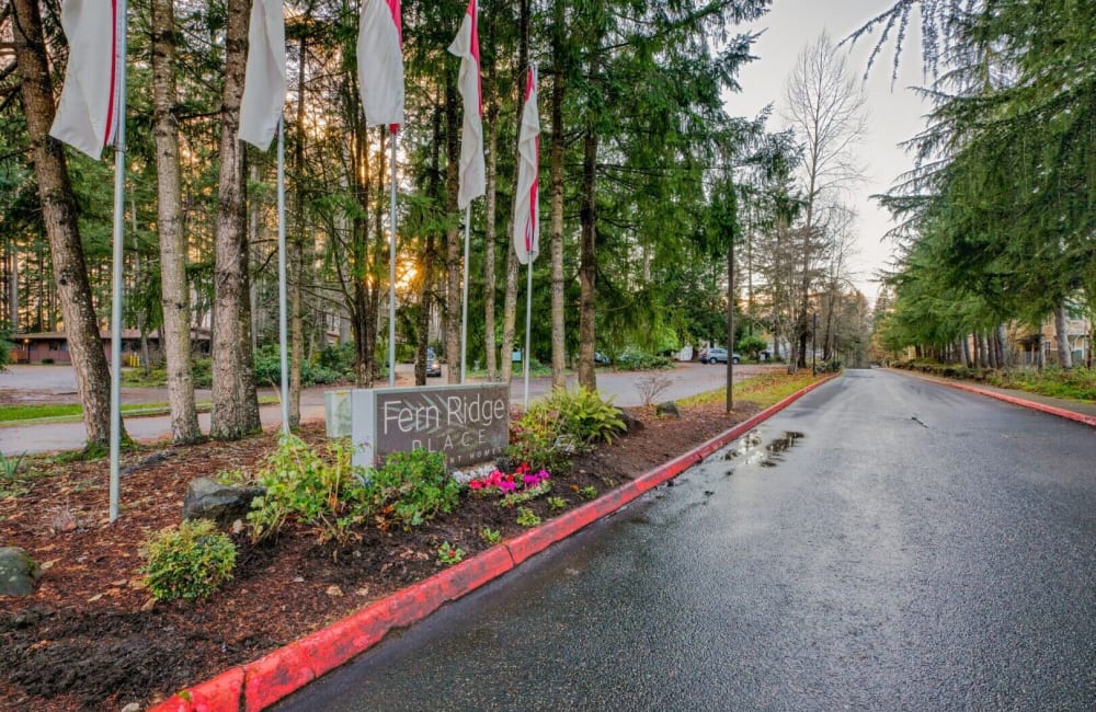 Road at the entrance to Fern Ridge Place in Olympia, Washington