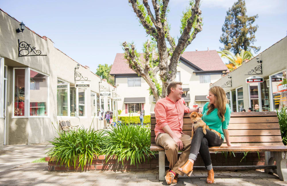 Residents relaxing in the surrounding community near Orchard City Lofts in Campbell, California