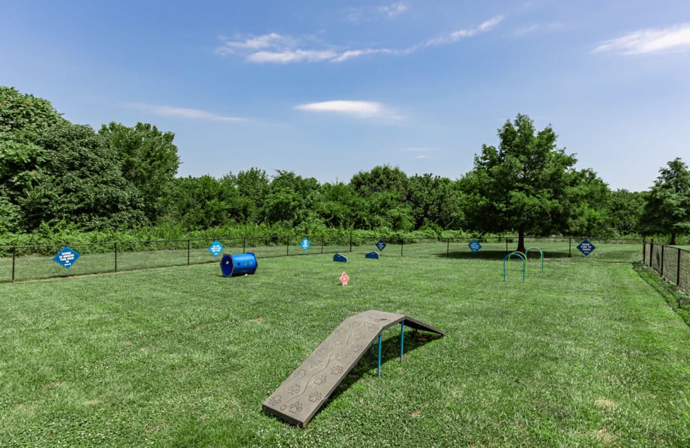 Outdoor dog park with agility course at Parkway Station Apartment Homes in Concord, North Carolina