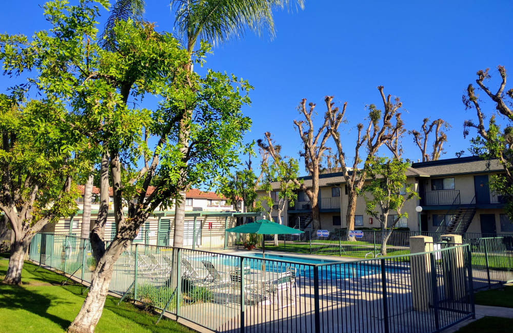 Our beautiful swimming pool at Sierra Gardens in Riverside, California