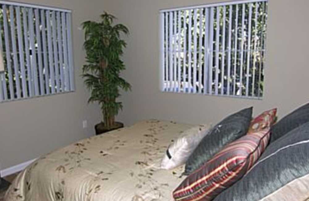 Comfortable bed with large windows at Reidy Creek Apartments in Escondido, California
