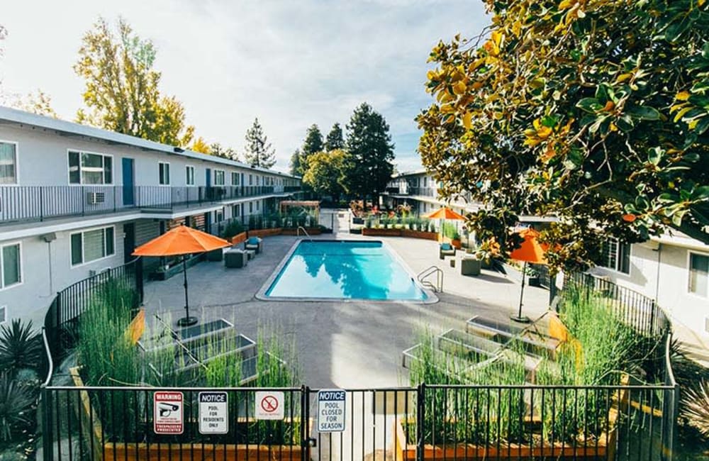 Outdoor swimming pool at Magnolia Terrace in Fairfield, California