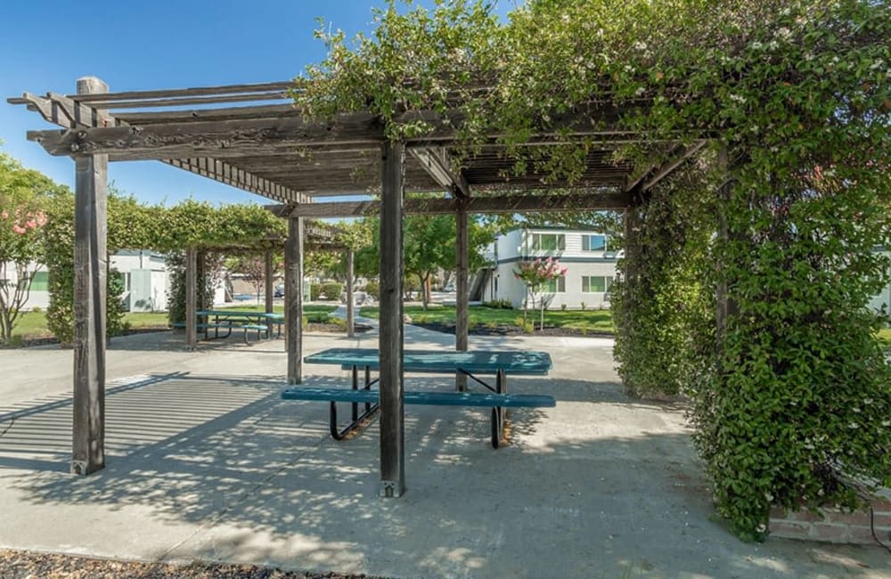 Picnic table at Academy Lane Apartment Homes in Davis, California