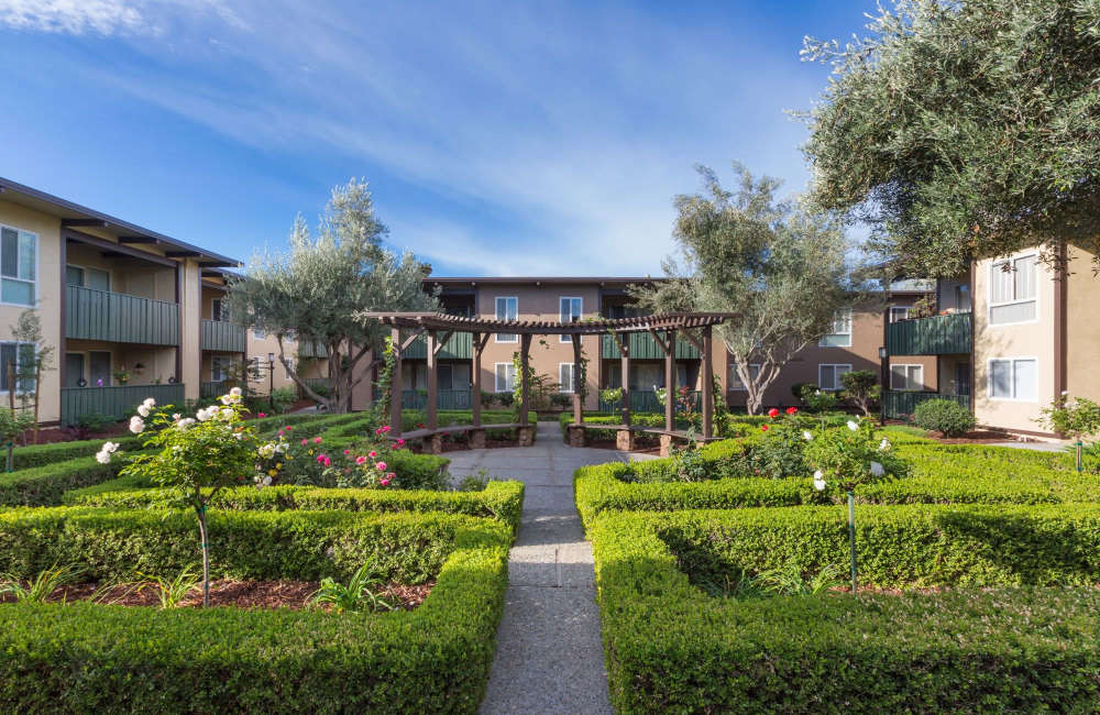 Modern Apartments at Whitman Green in Hayward, California