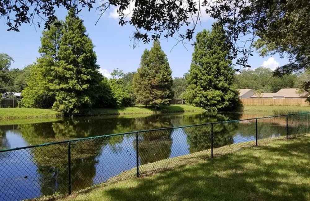 Pond and mature trees on the beautifully landscaped grounds at Grove Pointe in Ruskin, Florida