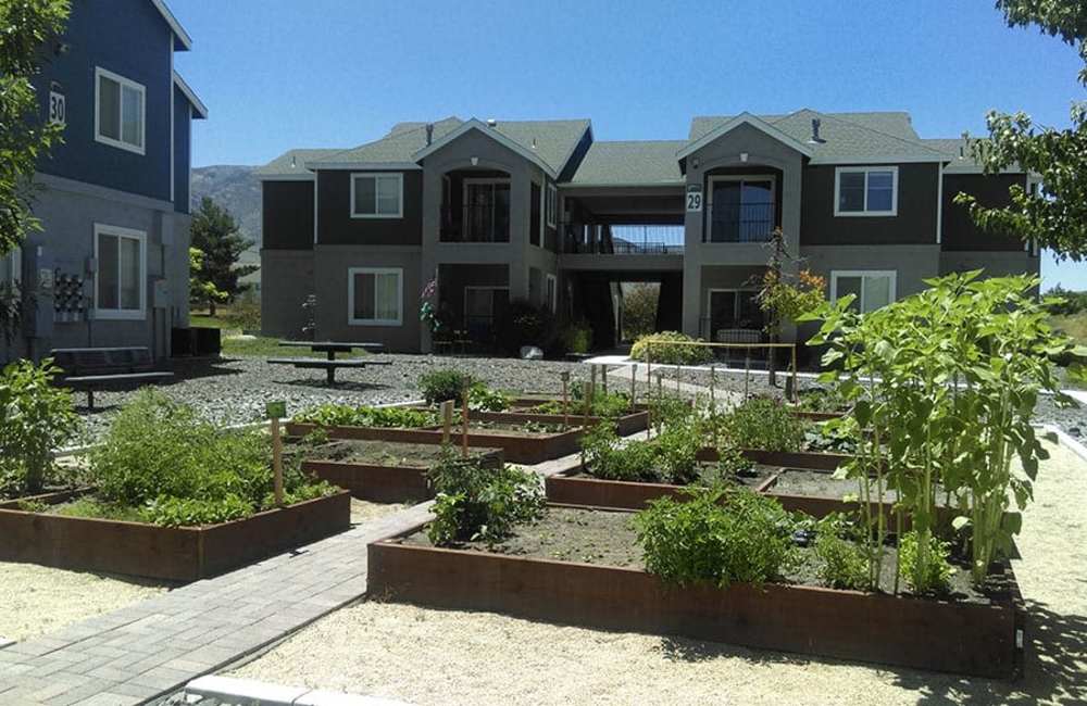 Above ground garden boxes at Sky Vista Commons North & South in Reno, Nevada