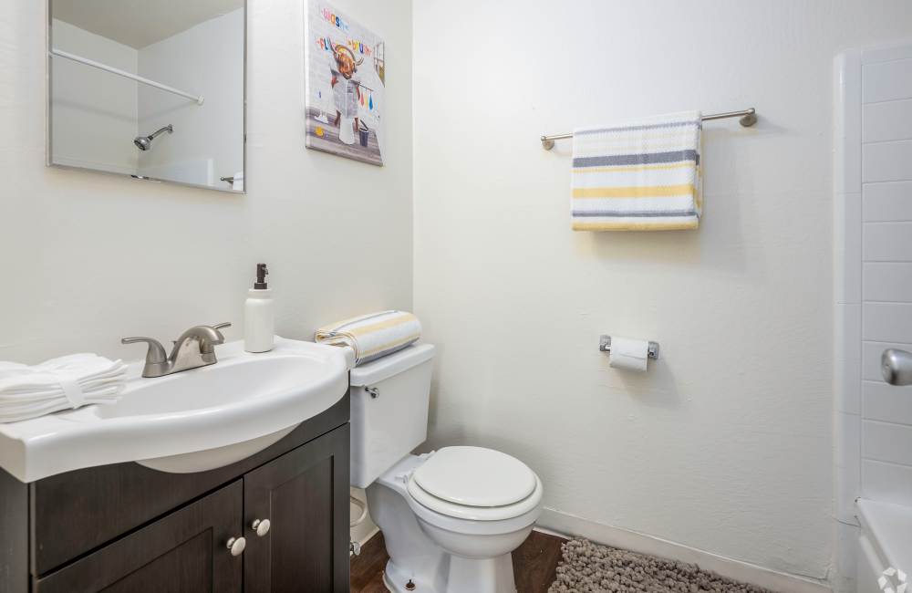bathroom at Academy Lane Apartment Homes in Davis, California