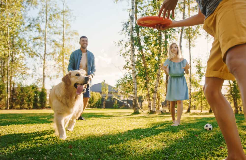 Residents playing in a local park along with their furry friend near Cypress Trace in Brandon, Florida