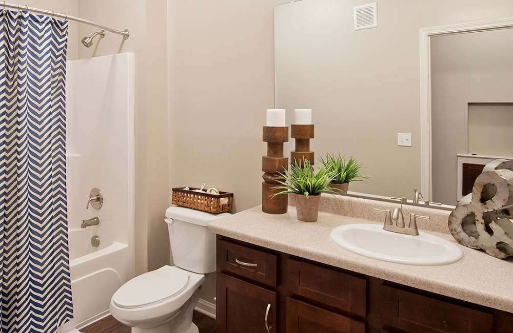Bathroom at Whitepalm Luxury Apartment Homes in Port Orange, Florida