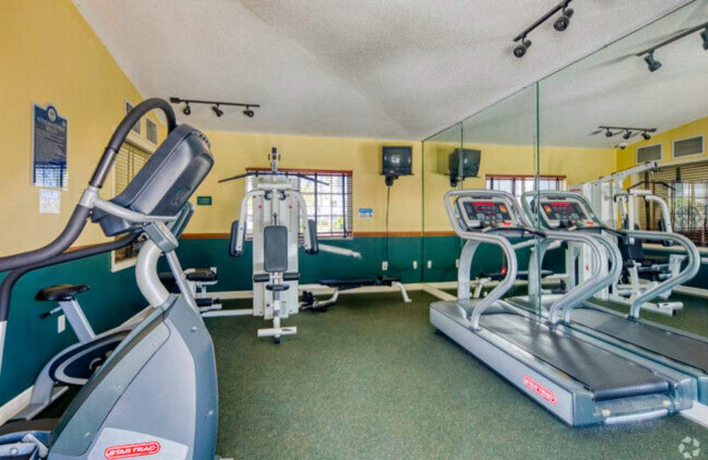 Fitness center at Cypress Trace in Brandon, Florida