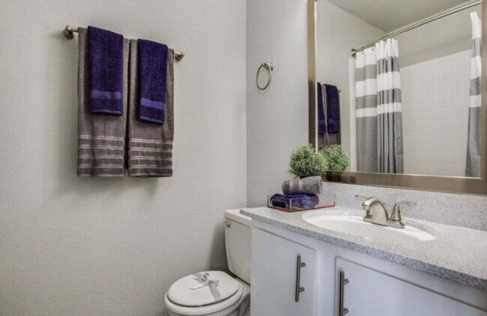 bathroom at Ridley Apartments in Houston, Texas
