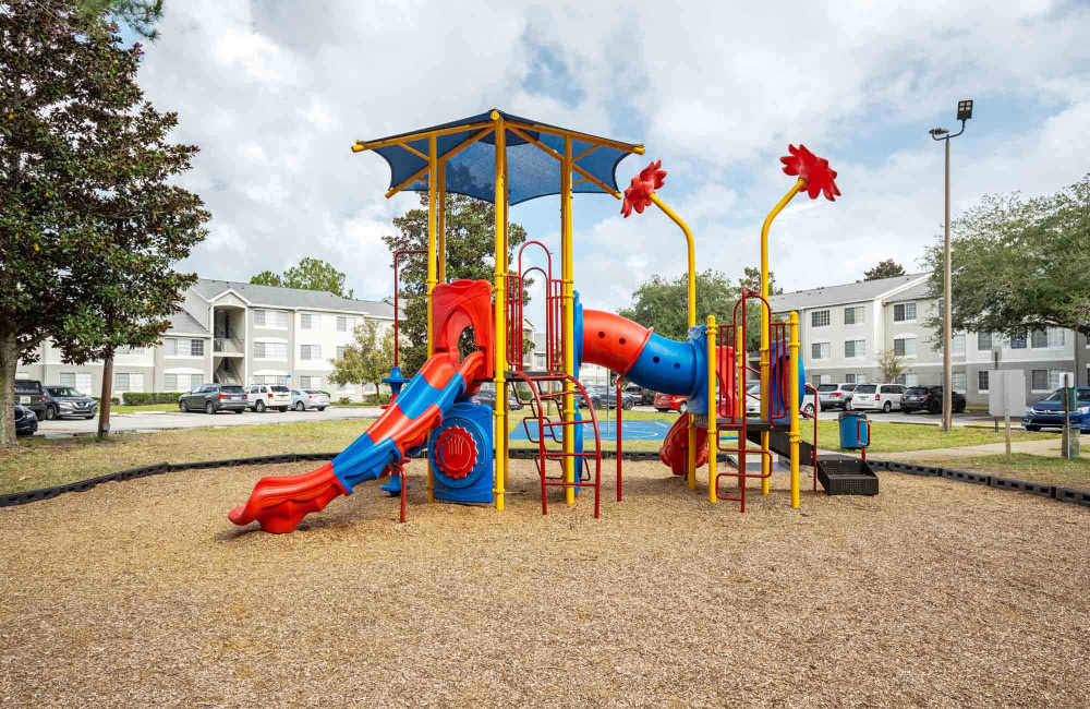 Park at Edge at Town Center in Jacksonville, Florida