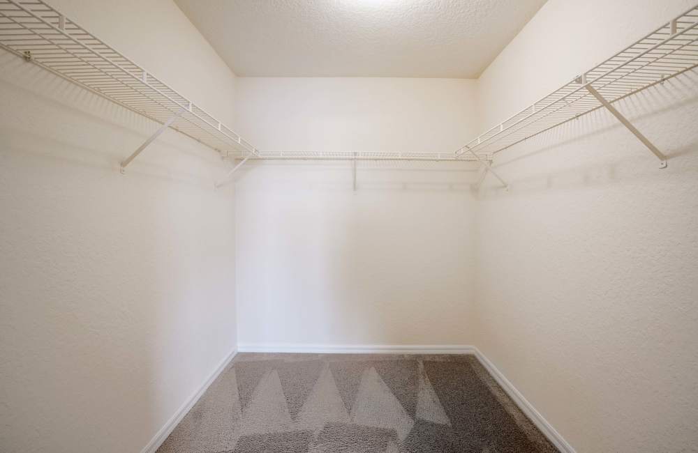 Walk-in Closet at Mission Pointe in Jacksonville, Florida