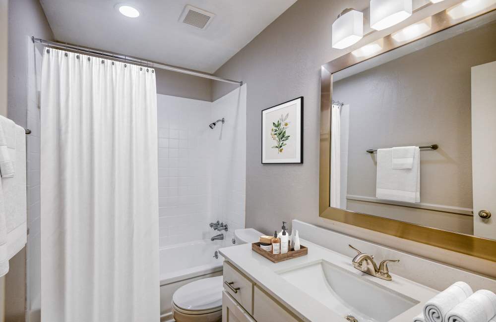 Bright bathroom with shower and tLakeridge Heights in Dallas, Texas, ub at