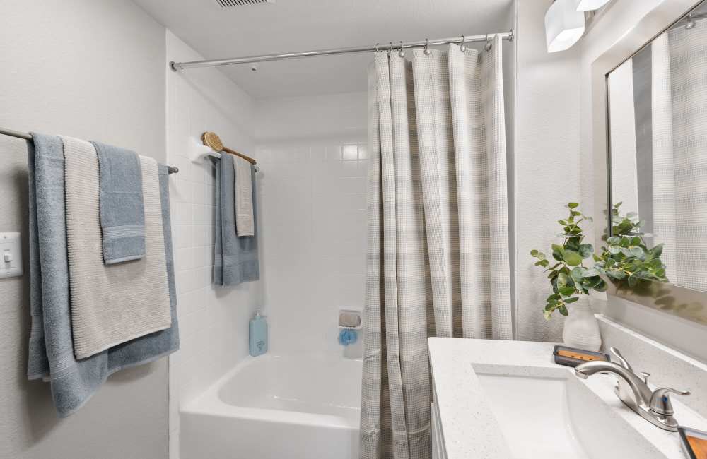 Bright bathroom with shower and tub at Park At Woodmoor Apartments in Shenandoah, Texas, 