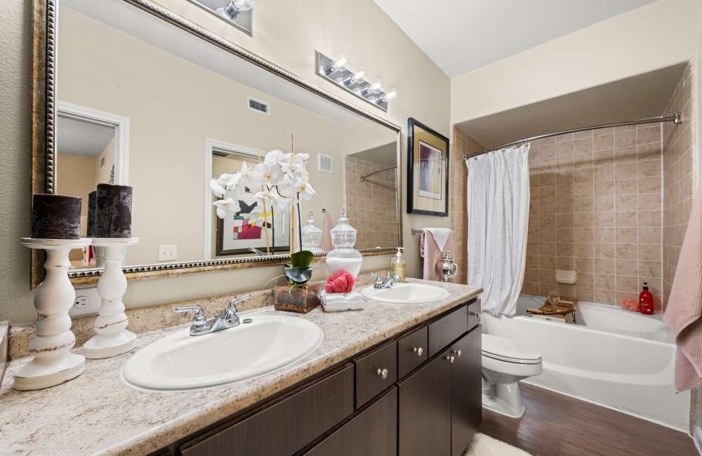 Bathroom with custom-designed vanity and bathtub at The Pointe At Victoria in Victoria, Texas