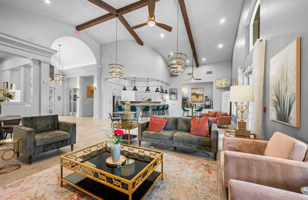 Clubhouse with comfy sofas at The Tennyson at Tomball in Tomball, Texas
