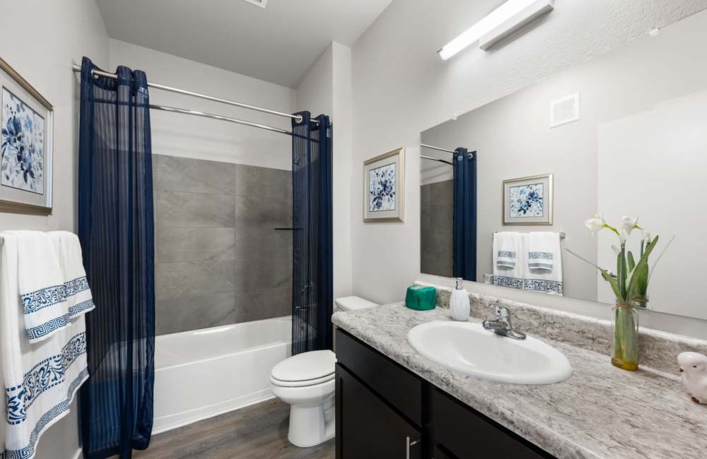 Bathroom with great lighting at The Tennyson at Tomball in Tomball, Texas