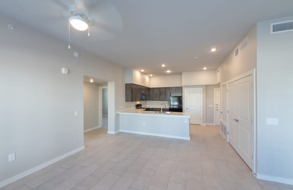 Open concept living space at The Loretta in Austin, Texas, 