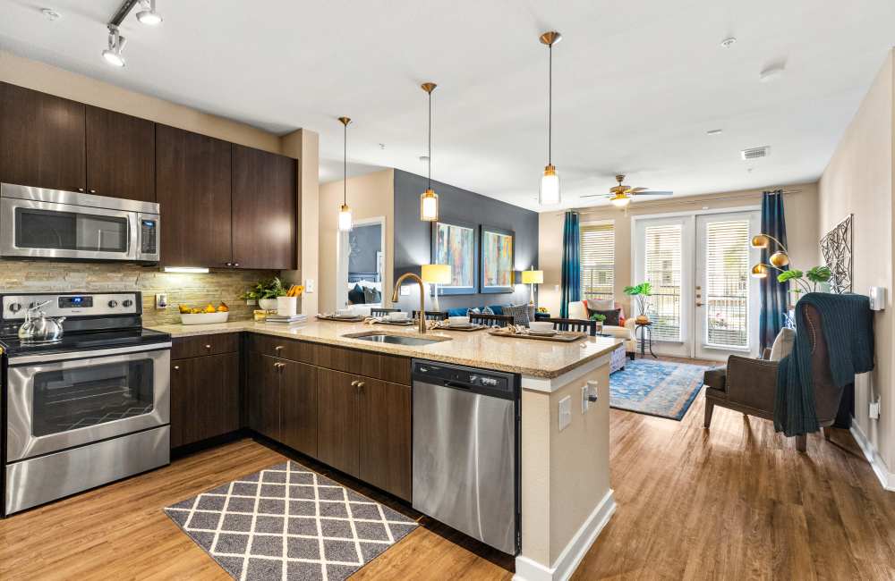 Modern kitchen with granite countertop and stainless-steel appliances at The Abbey at Spring Town Center in Spring, Texas