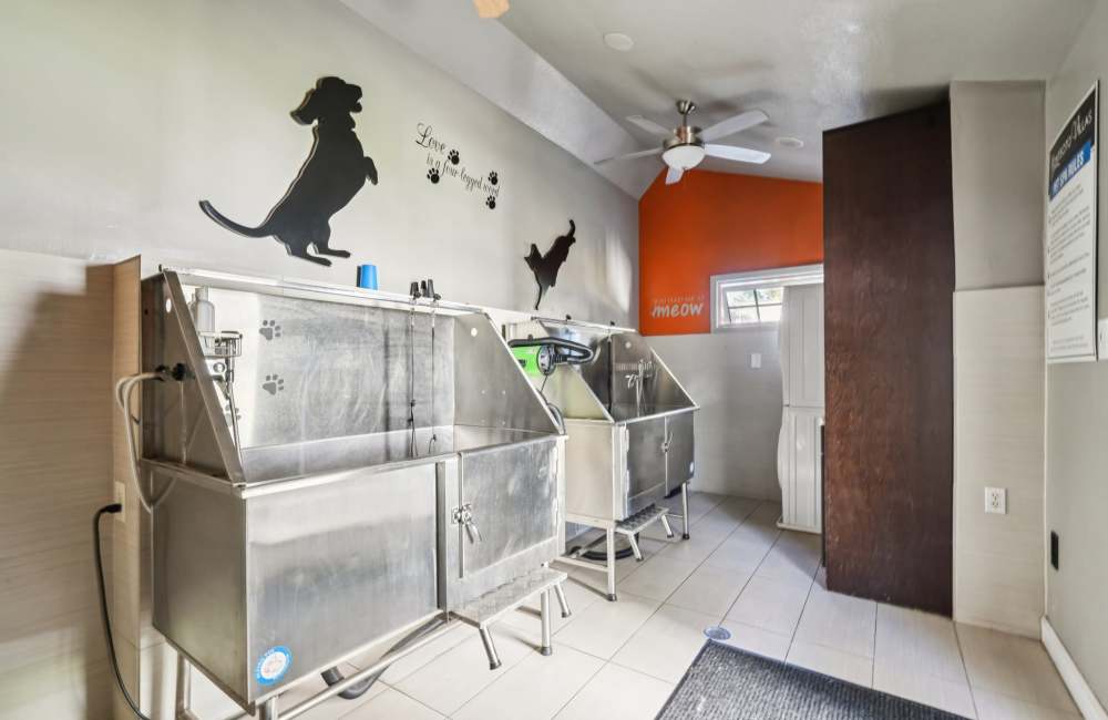 Pet grooming station at Montecito Villas in Sacramento, California