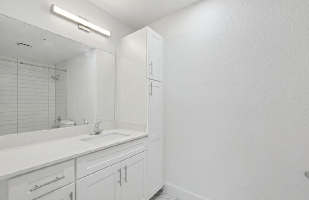 Bathroom Vanity