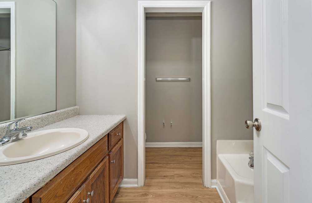 Updated bathroom with modern fixtures and spacious storage closet at Collins Pointe in Cartersville, Georgia