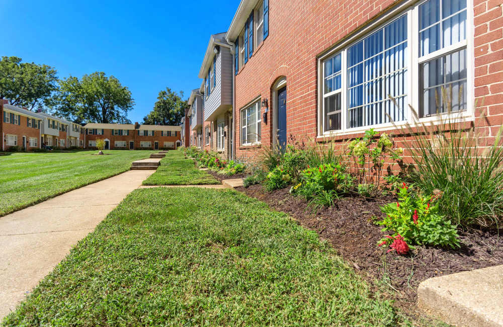 Greenery all around at Jamestowne Apartments in Baltimore, Maryland