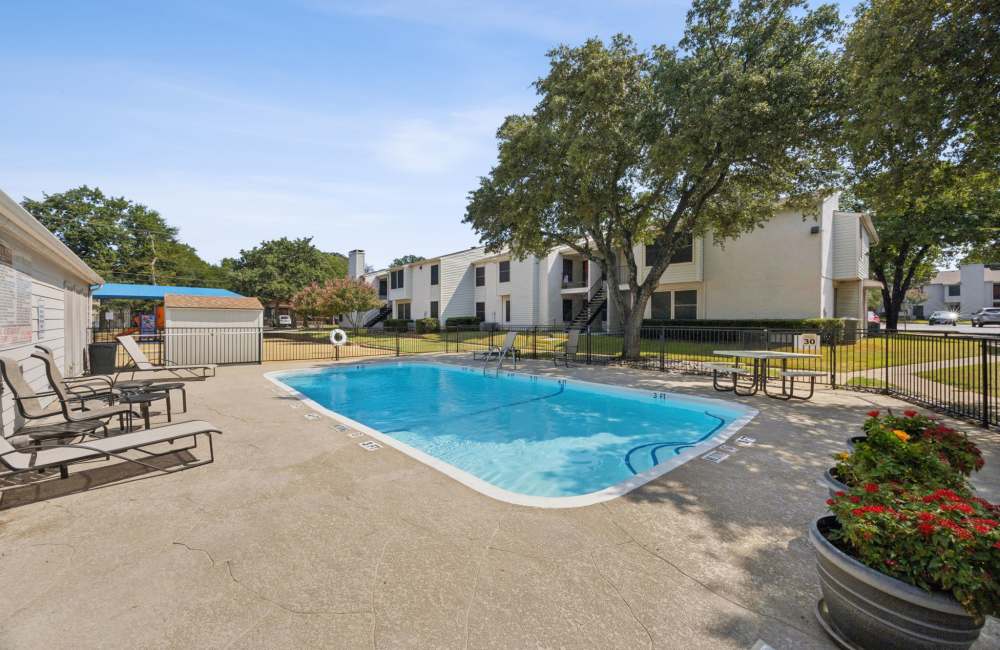 Swimming pool surrounded by trees at Sleepy Hollow in Arlington, Texas