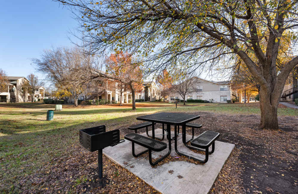  The Park on Forum in Grand Prairie, Texas, large open grassy areas perfect for dog walking with picnic tables and charcoal grills along the walking paths