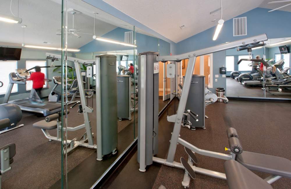 Gym 3