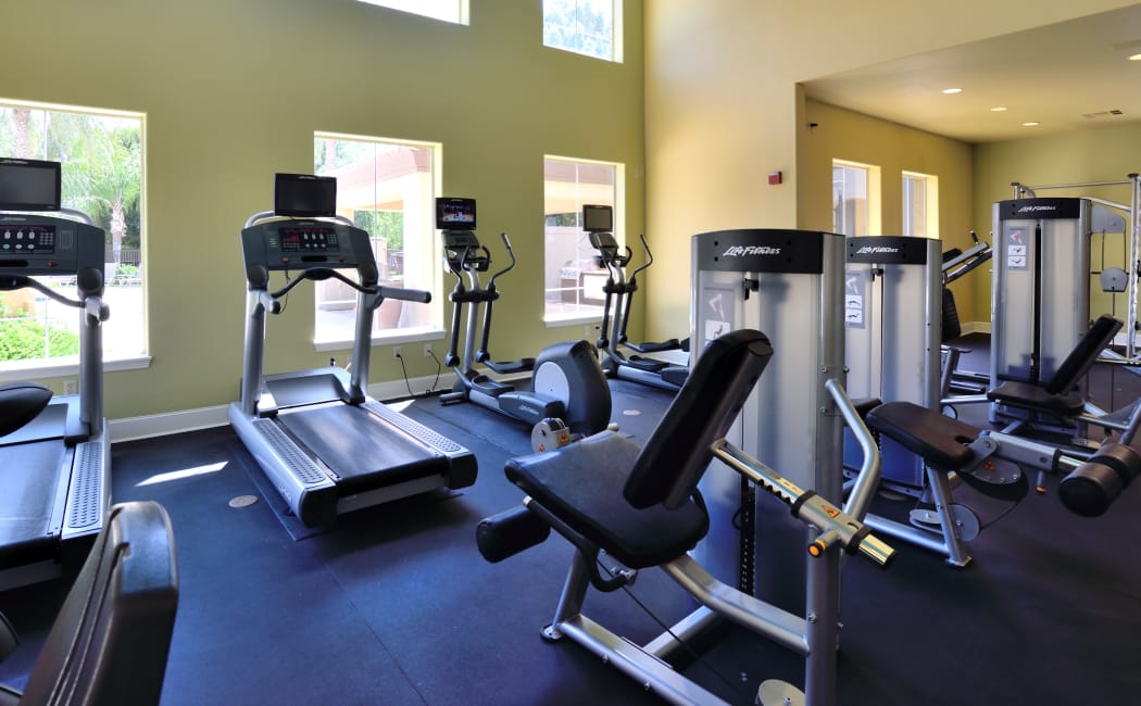 Phoenix, AZ Apartments for Rent near Ahwatukee Sierra Foothills