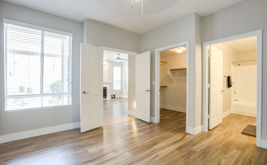 Chandler Apartments Amp Condos For Rent Lumiere Chandler