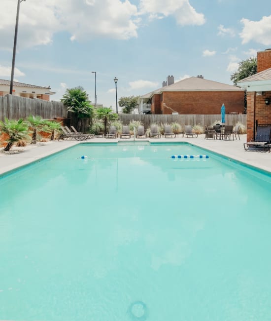 Discover the amenities at Halcyon Park Apartments