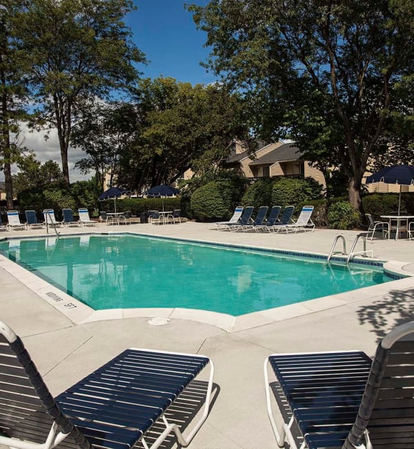 Sparkling pool at Amberly