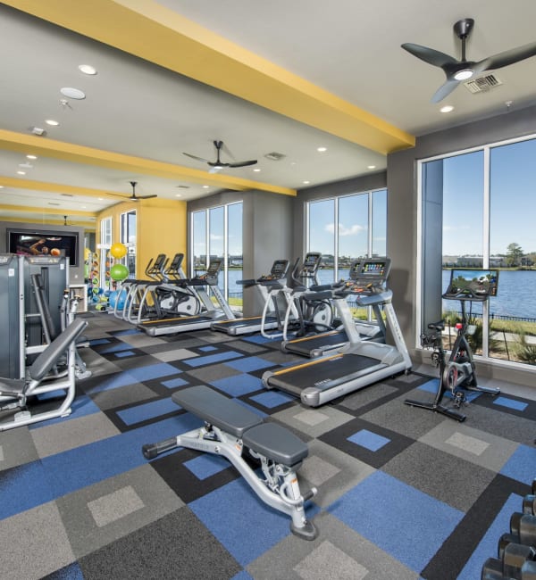 Exercise equipment in the fitness center at Ravella at Town Center in Jacksonville, Florida