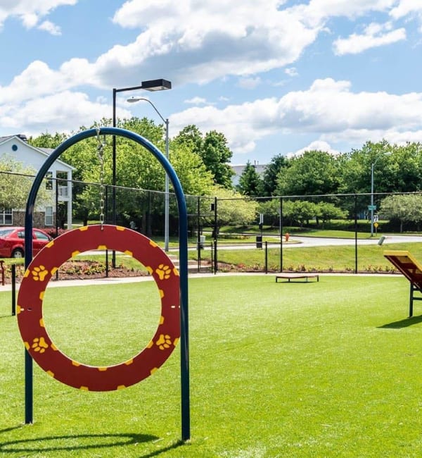 The onsite dog park at The Courts of Avalon in Pikesville, Maryland