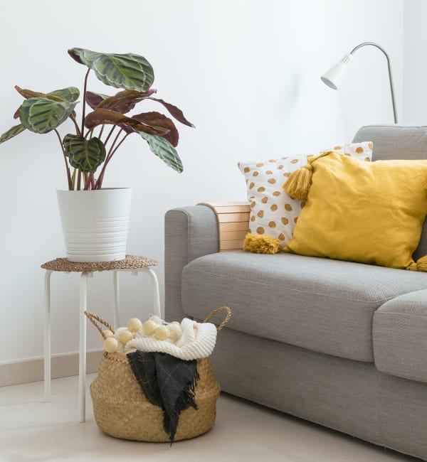 An apartment living room with a couch and a plant at Mode at Owings Mills in Owings Mills, Maryland