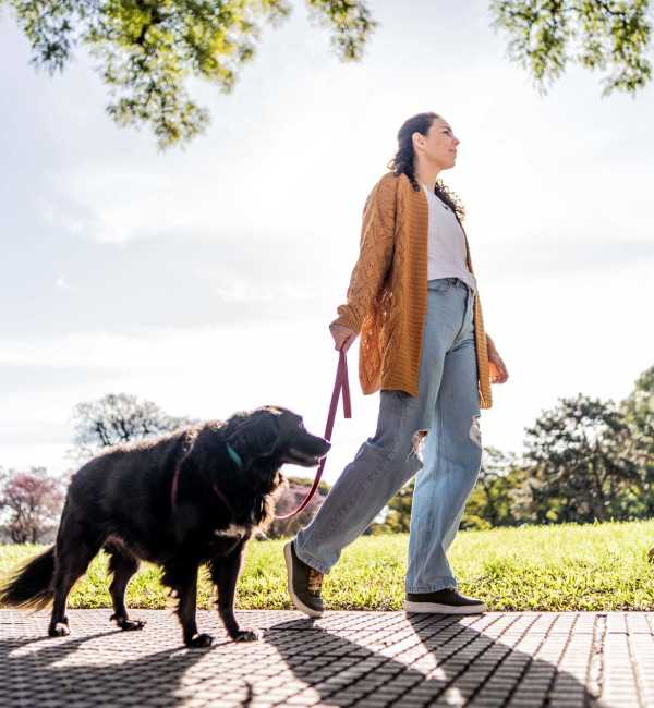 Pet-friendly at Hilltop Pointe in Panama City, Florida