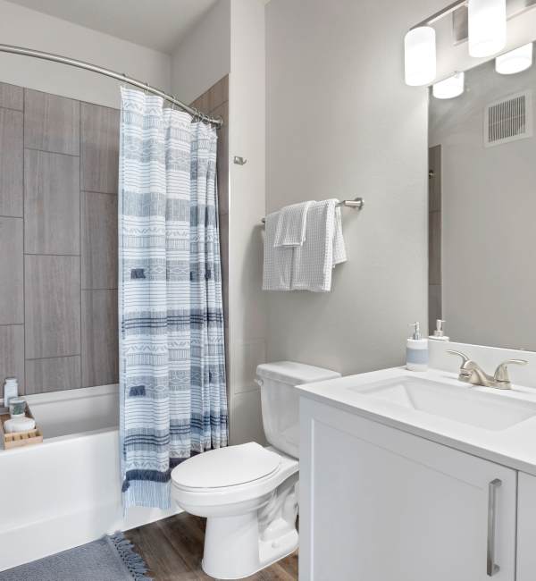 luxury bathroom at The Carlton At Robinson Gateway in Palmetto, Florida