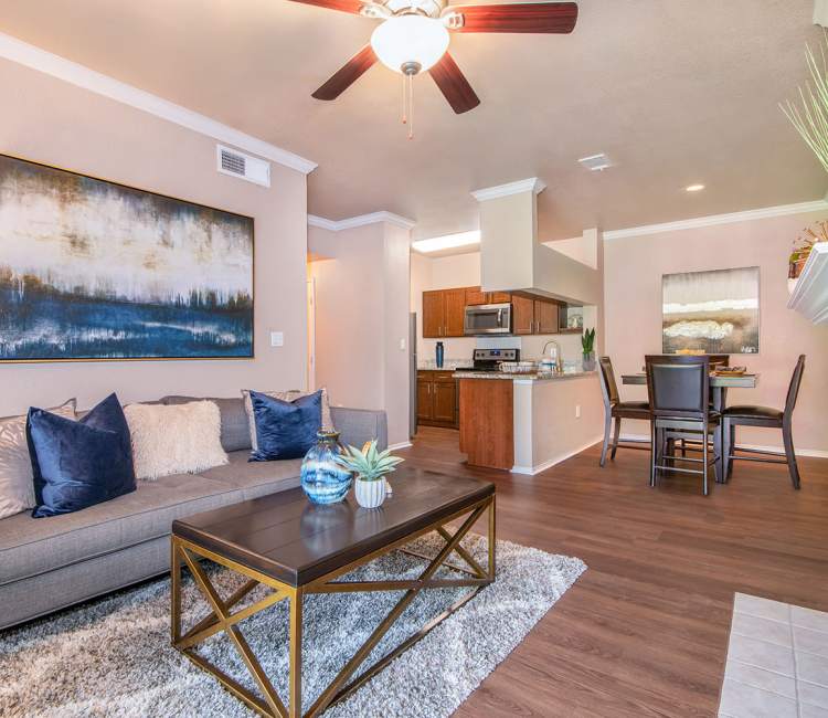 Model living room at Ballantyne Apartments