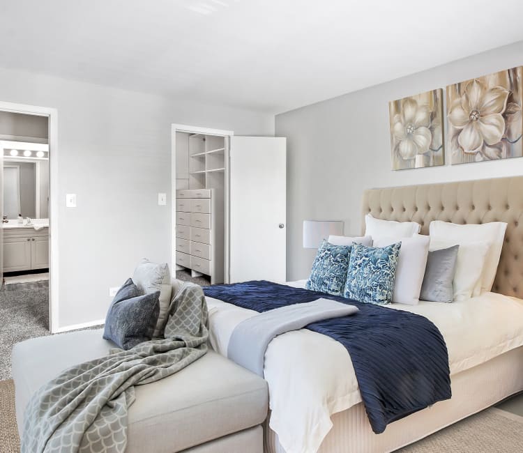 /Spacious master bedroom with plush carpeting at Lakeside Apartments in Wheaton, Illinois