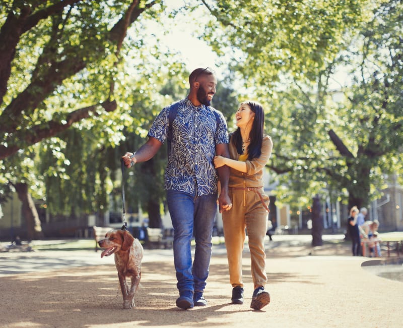 Residents and their dog out on a stroll near The Reserve at Windmill Lakes in Houston, Texas