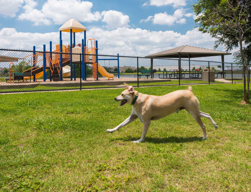 Dog park at Crescent Cove at Lakepointe