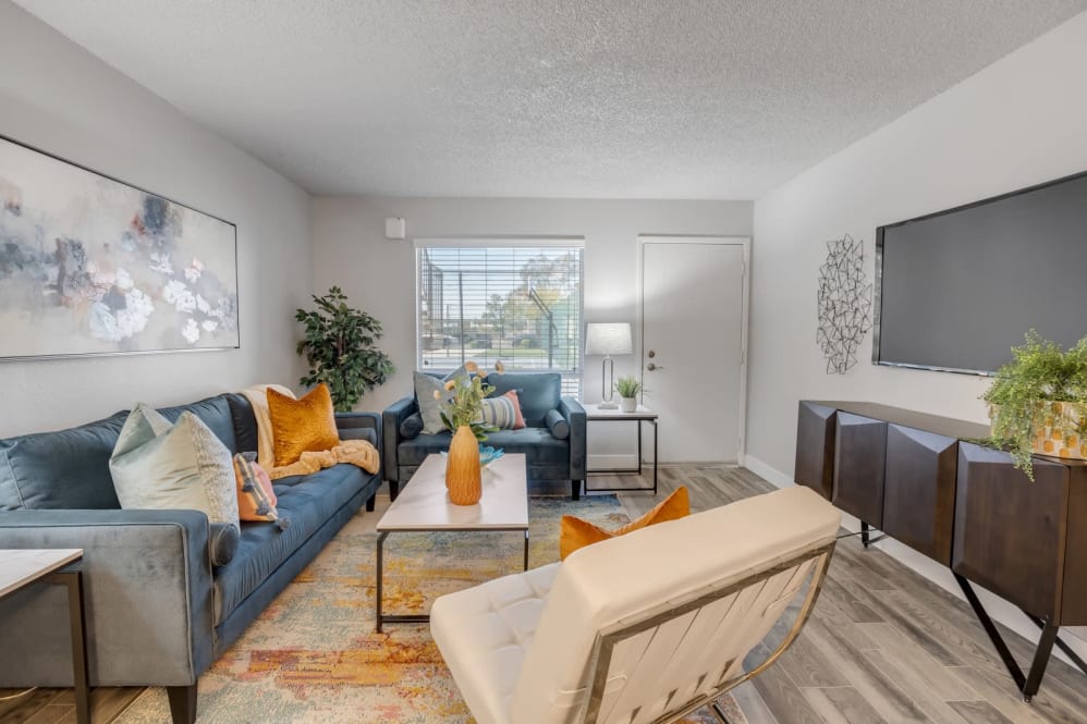 Furnished apartment living area shown — representative home at The Mod Apartments.