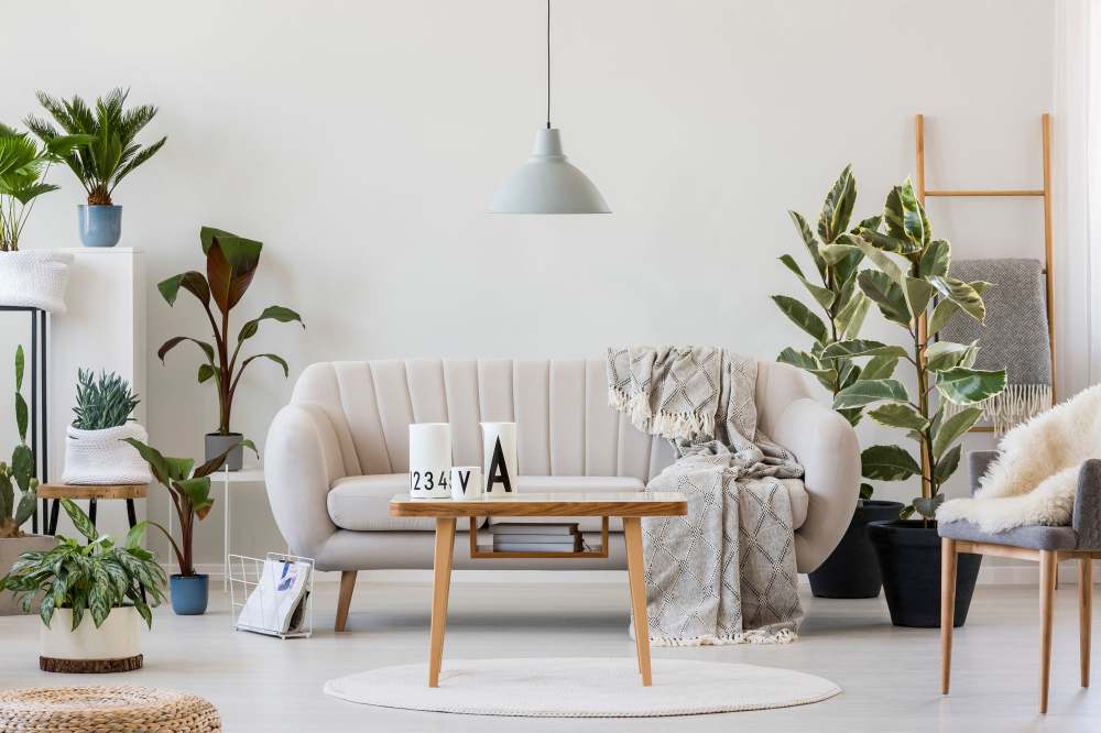 Modern living room with plants and cozy decor at The Residences at Talcott in Weatogue, Connecticut