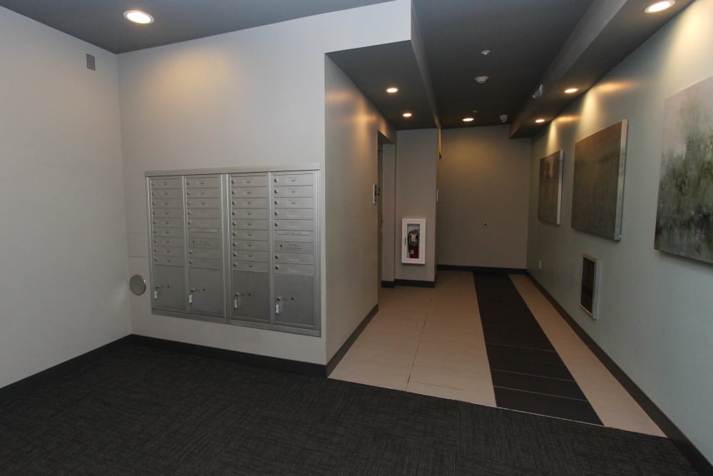 Photos Of 770 Elmwood Apartments In Buffalo Ny
