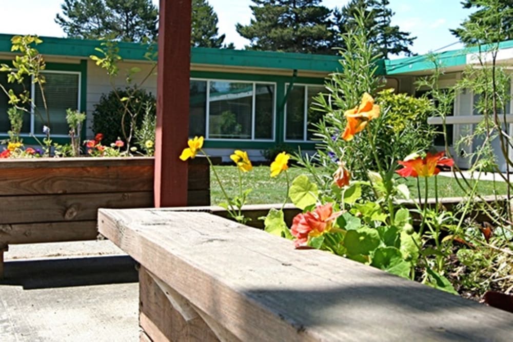Planter boxes outside at Regency Florence in Florence, Oregon