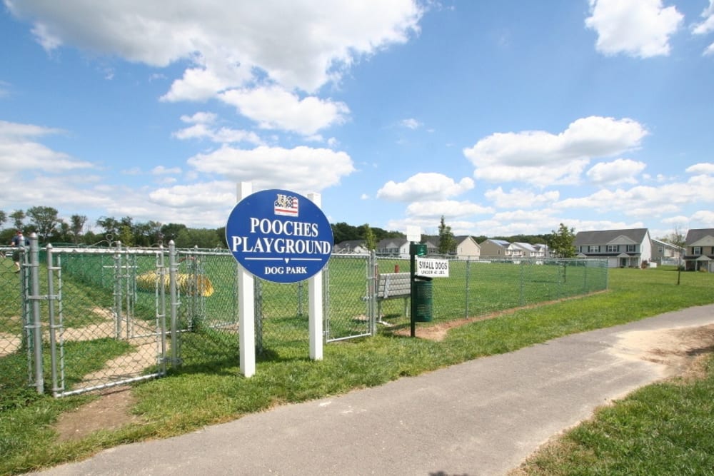 Poochies Playground dog park at United Communities in Joint Base MDL, New Jersey