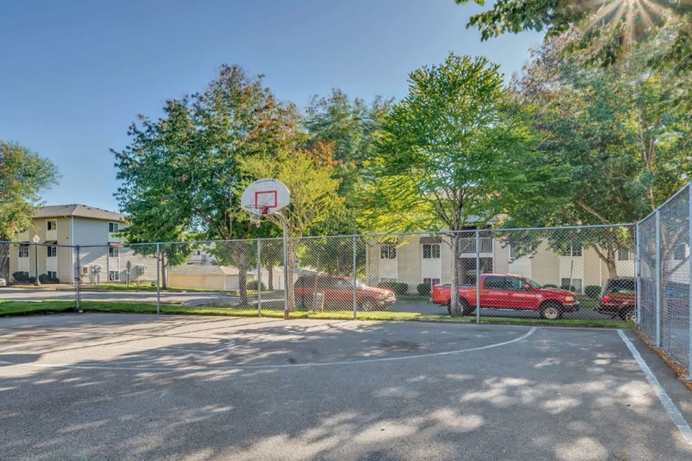 Enjoy Apartments with Plenty of Parking at Courtside Apartments 